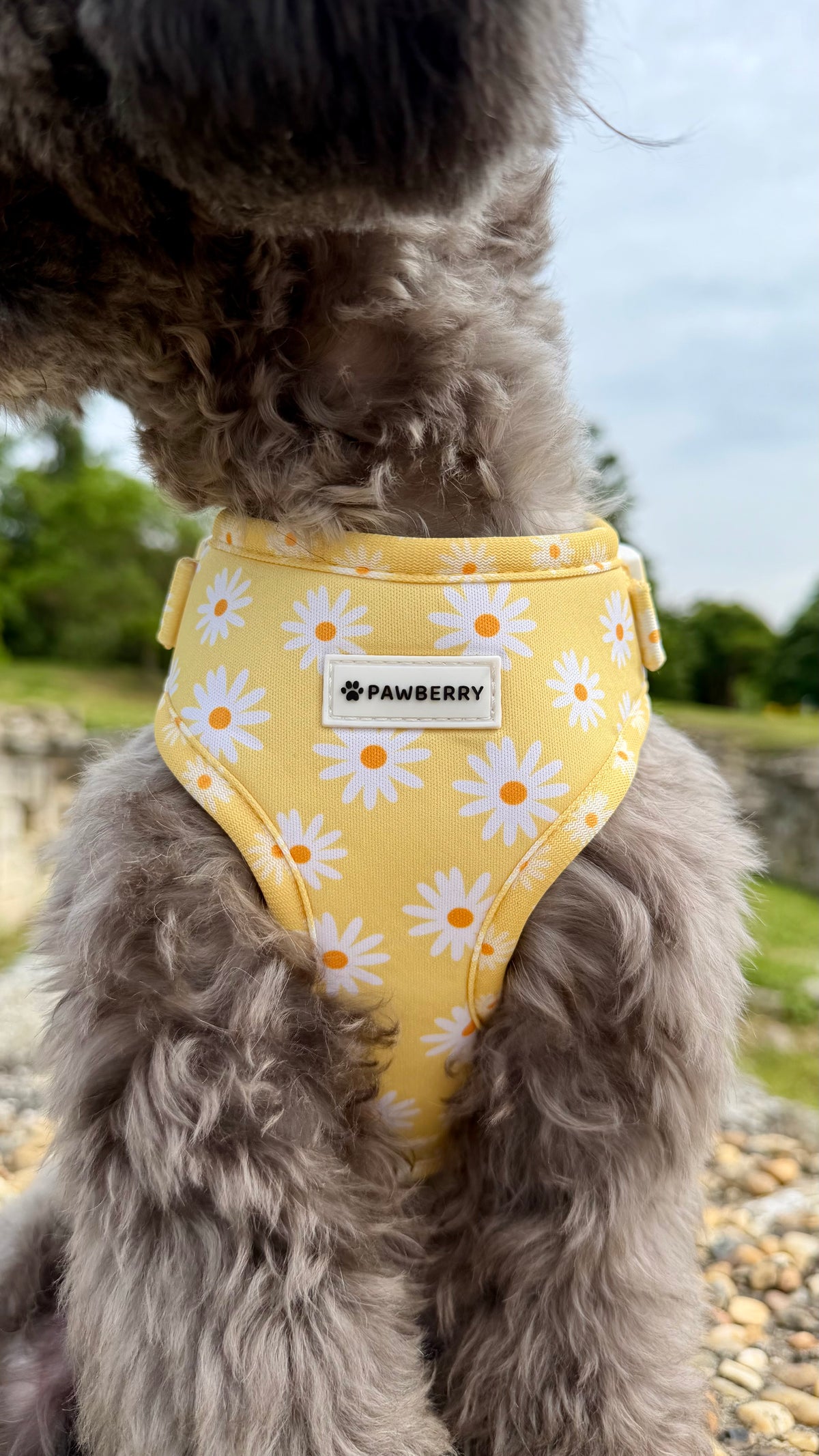нагръдник куче daisy love pawberry nagradnik kuche кучешки регулируем цветен маргаритки аксесоари за кучета българия