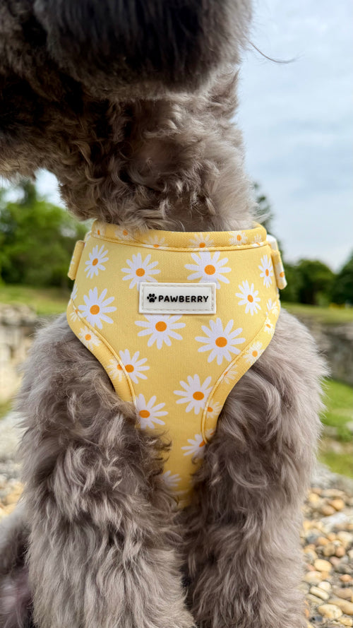 нагръдник куче daisy love pawberry nagradnik kuche кучешки регулируем цветен маргаритки аксесоари за кучета българия