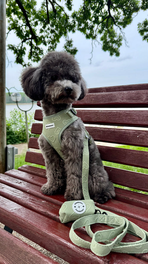 нагръдник куче matcha latte pawberry nagradnik kuche повод каишка кучешки регулируем зелен аксесоари за кучета българия