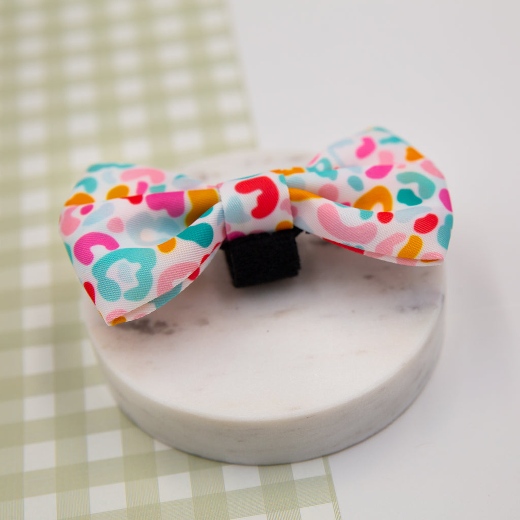 панделка куче candy pawberry pandelka kuche кучешки цветна аксесоар стил българия