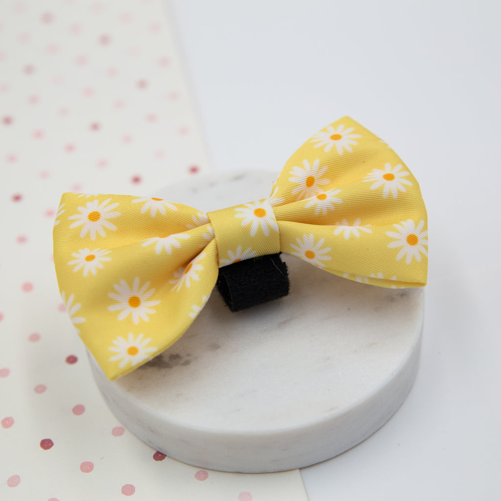 панделка куче daisy love pawberry pandelka kuche кучешки маргаритки жълта цветна украса българия